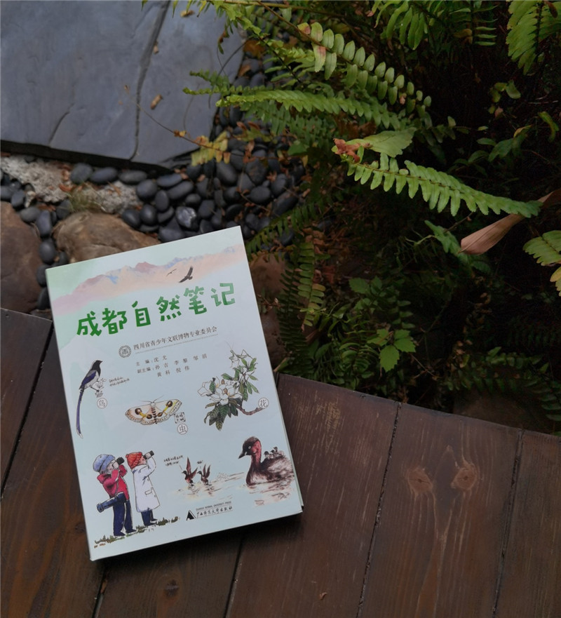 圖片2.jpg 圖片2.jpg