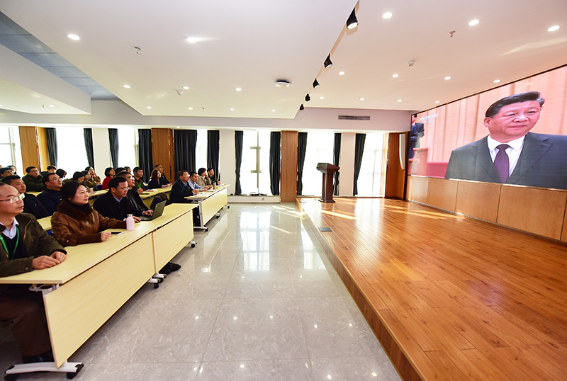 1545188133368739.jpg DSC_1137.jpg