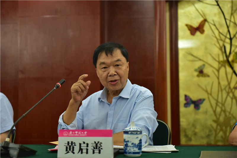 廣西壯族自治區博物館原館長(cháng)、研究館員黃啟善發(fā)言（郭倩 攝）.JPG