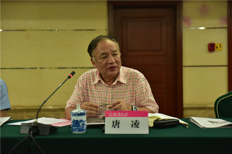 廣西歷史學(xué)會(huì )會(huì )長(cháng)、廣西師范大學(xué)歷史文化與旅游學(xué)院教授唐凌發(fā)言（郭倩 攝）.JPG