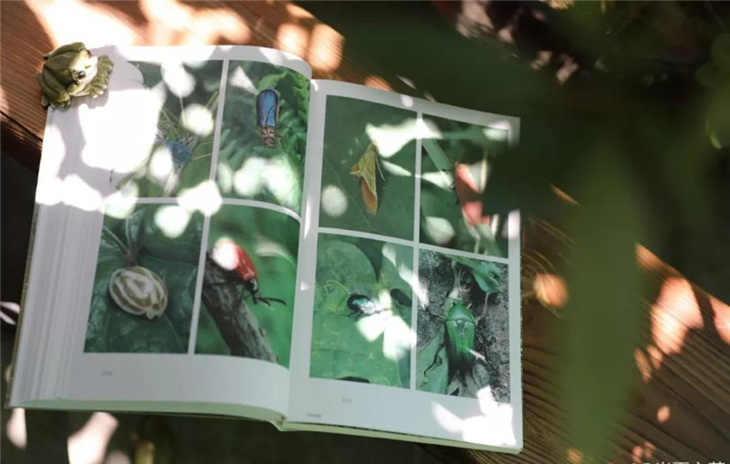 1585887828345330.jpg 微信圖片_20200403122238.jpg